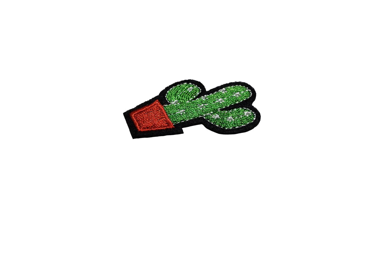 Curious Cactus