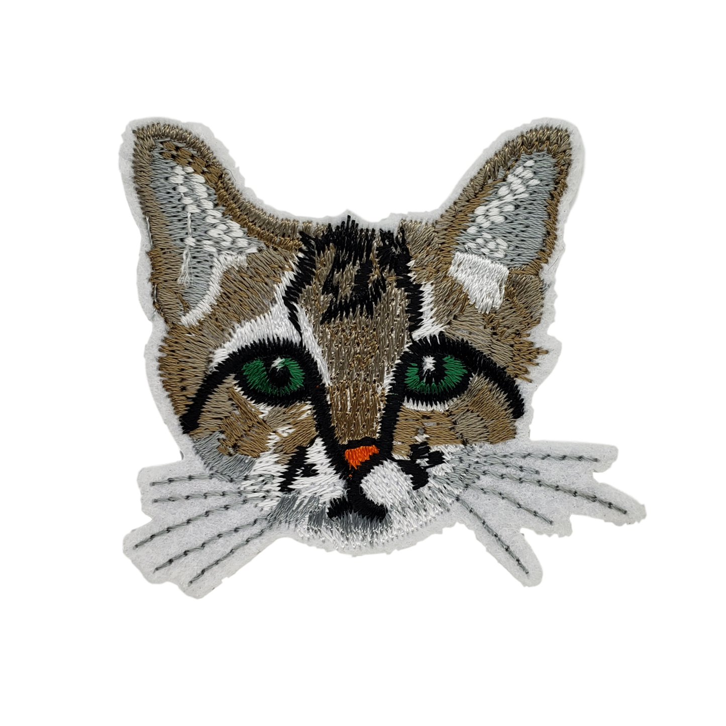 Kitty Whiskers