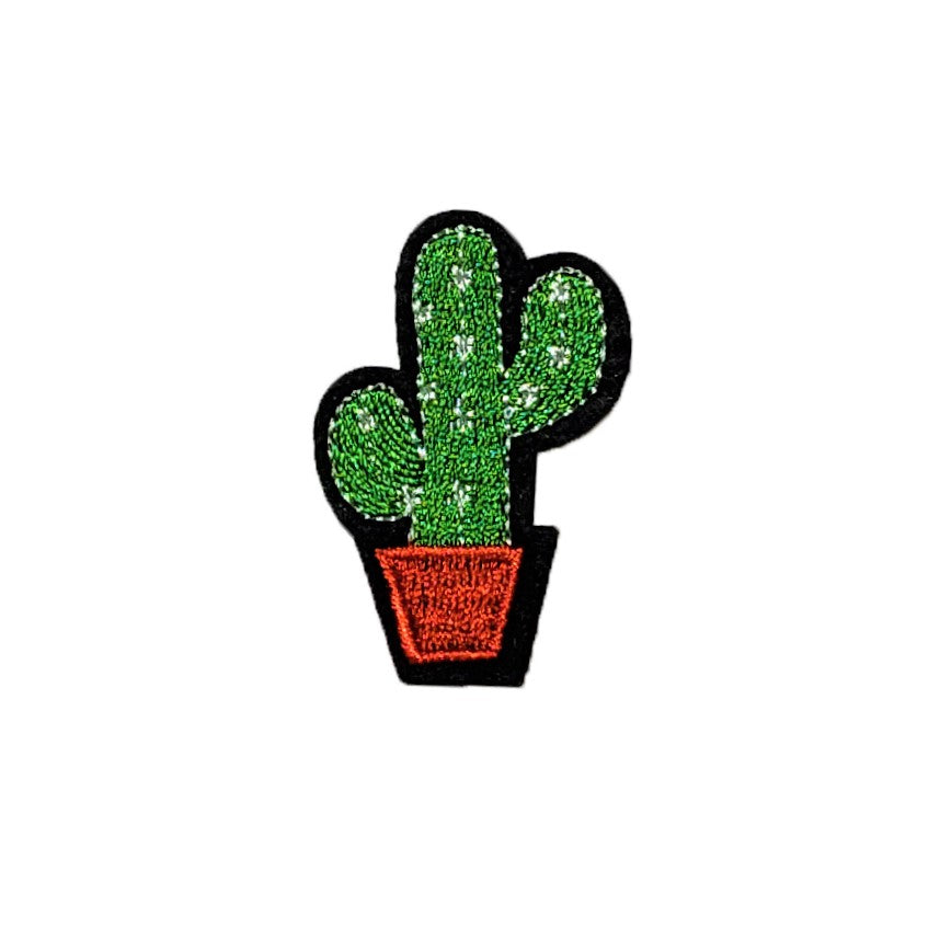 Curious Cactus